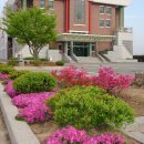 원평초등학교 이미지