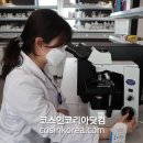 코올 코스인코리아닷컴