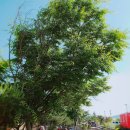 대장게임장 이미지