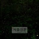 등나무운동장 이미지