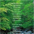 산중에서 이미지