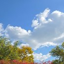 학의천변 | 🌿 안양천의 작은 영웅들! 🐛&#39;대단한 곤충들&#39; 안양천생태이야기관 13주년 행사 후기