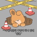 타로한잔 이미지