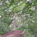 새솔학교 이미지