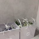 아키로우 | [웨딩] 아키스튜디오 촬영후기(with. 노택일실장님), 뷰티바이달, 브라이덜소노
