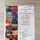 두리조경 이미지