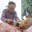 정성기전 신동아