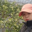 정우농원 이미지