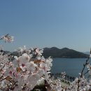 지중해식당 이미지