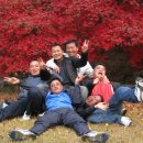 박정술 Daum카페