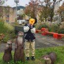 동부유치원 | <2025 청주 공예비엔날레> 어린이비엔날레 '놀러와요 누구나 마을' 6세 후기.