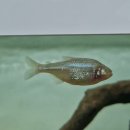 521 | 생물도감이 운영하는 521생태테마파크 방문 후기