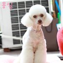 몽실이