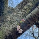 별헤는 몰랑 이미지