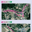 문경오미자