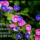 상쾌한아침