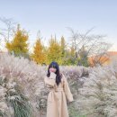 결성초등학교 이미지