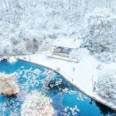 만(晩) | 안동 겨울 가볼만한곳, 체화정 | 눈 덮인 정자에서 느끼는 형제의 정