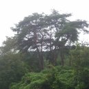 바른골펜션 이미지