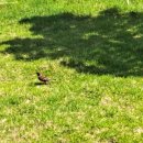 마당민박 이미지