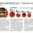 별 부동산 이미지