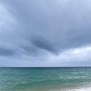 블리비의원 이미지