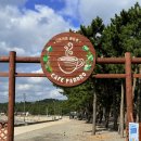 바다랑파도랑 | 바다뷰맛집 파도리 해식 동굴 근처 희귀식물카페 카페 파도로 솔직후기