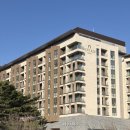 365힐링센터 | 충북/제천 포레스트 리솜 G40 빌라 후기 | 가족여행 힐링여행 찐추천 및 꿀팁