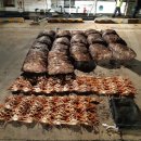 동해-단속-24 이미지