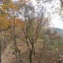 @ 늦가을에 찾아간 경북 의성 나들이 ~~~ (문소루, 구봉산, 은행나무숲길, 금성산고분군...) 이미지
