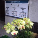 정남진상사 | 은평 구의회 멋지신 부의장님.