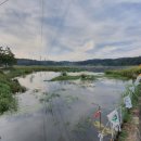 대요낚시터 이미지