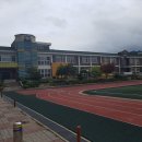 임당초등학교 이미지