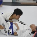 팀루츠 이미지