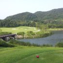 소피아그린 이미지