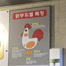 보성상가 B동 | 초지역 원곡동 찐맛집 구구숯불닭구이 내돈내산 리뷰