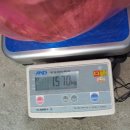 여주-0643 이미지