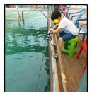 땅끝낚시터 이미지