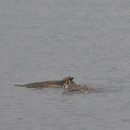 부엉이PC방 이미지