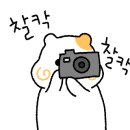 카페솜솜 이미지