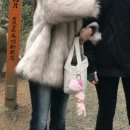 헤어토트 - 춘천시 | 룰루레몬 여자 운동 가방 온 마이 레벨 룰루레몬 가방 스몰 토트백 5L 1달 사용 후기