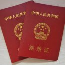 국제행정사 이미지