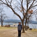중앙-6 Daum카페