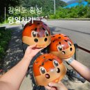 생운목장 | 강원도 횡성 여행 루트요약 : (ft.횡성루지체험장/구룡사/코티지생운/횡성둘레길5구간/횡성축협한우 후기)