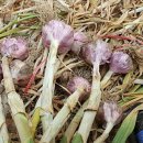 순재농장 이미지