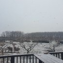 전길농장 Daum카페