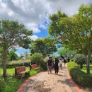 무안황토갯벌랜드(제1주차장) 이미지