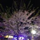 도꼬시에 이미지