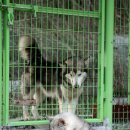 토비하우스 이미지