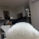 개털도사 이미지